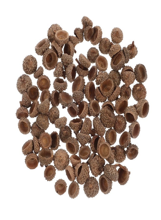 TOPPERFUN 100Pcs Natural Acorns Caps for Crafts, Bulk Real Rustic Acorns Tops for Craft Christmas Thanksgiving Pine Cone Ornament Winter Xmas Tree Wreath Vase Filler Decoration - Image 1